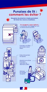 Des gestes de prévention simples permettent de limiter leur venue ou installation. En voyageant, soyez vigilants : ne posez pas votre bagage sur le lit et encore moins sous le lit et contrôlez vos effets personnels à votre retour. Attention aux achats d’occasion : lavez bien les vêtements à 60°C et nettoyez les meubles récupérés.