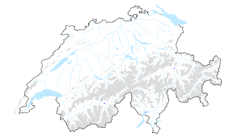 carte distribution géographique où se trouve l'ambroisie en Suisse ambroisie à épis lisses régions