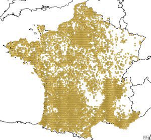 Carte de répartition du frelon à pattes jaunes - Vespa velutina - sur le territoire français métropolitain. ©OpenStreetMap - Données de l'Inventaire National du Patrimoine Naturel (INPN)